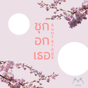 Album ซุกอกเธอ from Aunfaraga