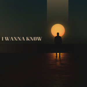 Listen to I wanna Know (Explicit) song with lyrics from ADEHAINE