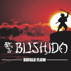 收聽BufaloFlow的Il Grande Bluff (feat. Lokar Beatz) (Explicit)歌詞歌曲