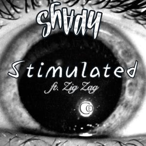 อัลบัม Stimulated (feat. Zig Zag) (Explicit) ศิลปิน SHADY