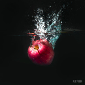 Listen to renid (Feat. unofficialboyy, 사소미 (Sa Somi)) song with lyrics from 김고야드