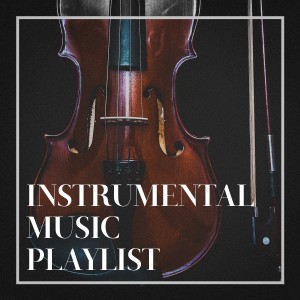 อัลบัม Instrumental Music Playlist ศิลปิน The Piano Classic Players