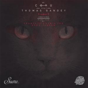 收聽Coyu的1+1 (Cosmin TRG Remix)歌詞歌曲