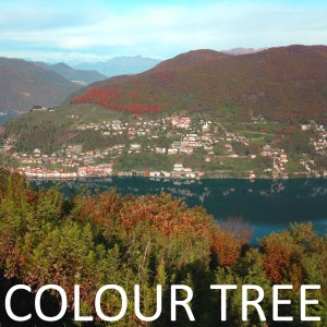Album Colour Tree oleh Colour Tree