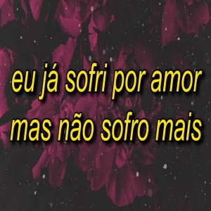 ดาวน์โหลดและฟังเพลง Eu Já Sofri Por Amor Mas Não Sofro Mais พร้อมเนื้อเพลงจาก Anito Music