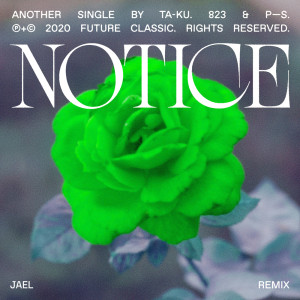 Notice (JAEL Remix)