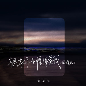 黃星允的專輯根本你不懂得愛我 (煙嗓版)