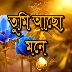 Listen to Tumi Acho Mone song with lyrics from Yamin