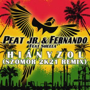 Album Hiányzol (feat. Sheela) [Szomor 2k21 Remix] oleh Fernando