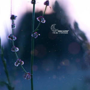 Trouble Sleeping Music Universe的專輯Weightless Midnight, Somnia Nocturne