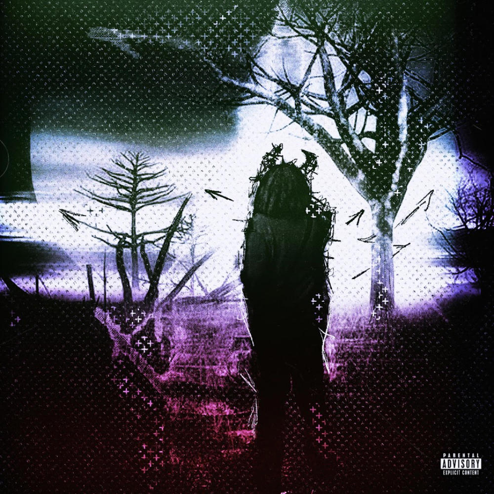 Reason (feat. vine) (Explicit)