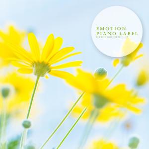 Album New Age Collection For Sleep from Korea Various Artists