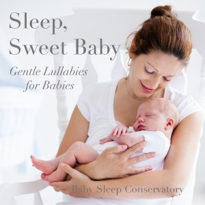 อัลบัม Sleep Sweet Baby (Gentle Lullabies for Babies) ศิลปิน Teddy Aspra