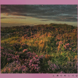 Album Anything from 노래안하는사람
