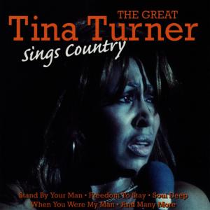 ดาวน์โหลดและฟังเพลง Lay It Down พร้อมเนื้อเพลงจาก Tina Turner