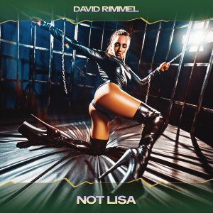 Album Not Lisa from David Rimmel