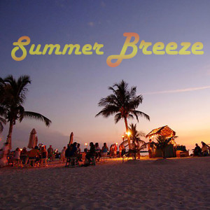 ดาวน์โหลดและฟังเพลง Summer Breeze พร้อมเนื้อเพลงจาก Radio Waves