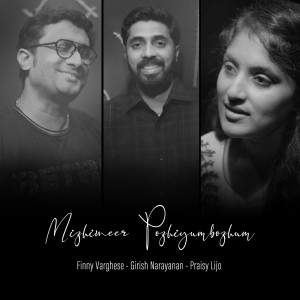 Listen to Mizhineer Pozhiyumbozhum song with lyrics from Finny Varghese