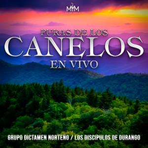 Listen to Escuchando Tu Voz (En Vivo) song with lyrics from Grupo Dictamen Norteño
