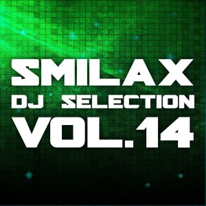 收聽D.J. Mirko B.的Firework (Put Your Hands up in the Air!)歌詞歌曲
