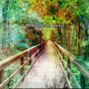 Deep Sleep Relaxation的專輯48 Promote Sleep