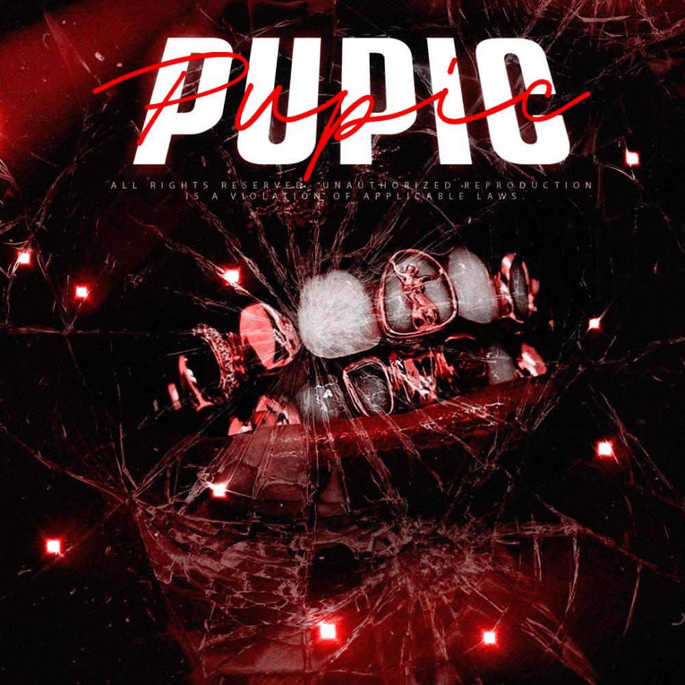 Pupic (feat. GeoZen) (Explicit)