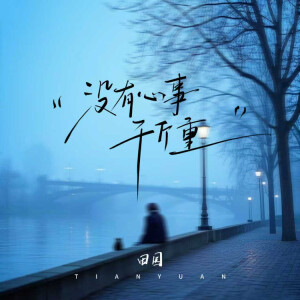 Album 没有心事千斤重 from 田园