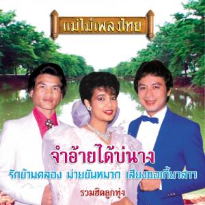 收听ศรชัย เมฆวิเชียร的จำอ้ายได้บ่นาง歌词歌曲