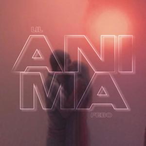 LIL的專輯anima (feat. Febo)