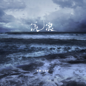 อัลบัม 流浪 (加速版) ศิลปิน 呆呆破