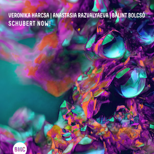 Listen to Der Leiermann song with lyrics from Anastasia Razvalyaeva