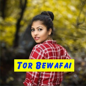 Album Tor Bewafai from Hemcharan Jangde