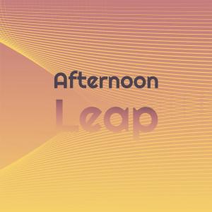 Various Artists的專輯Afternoon Leap