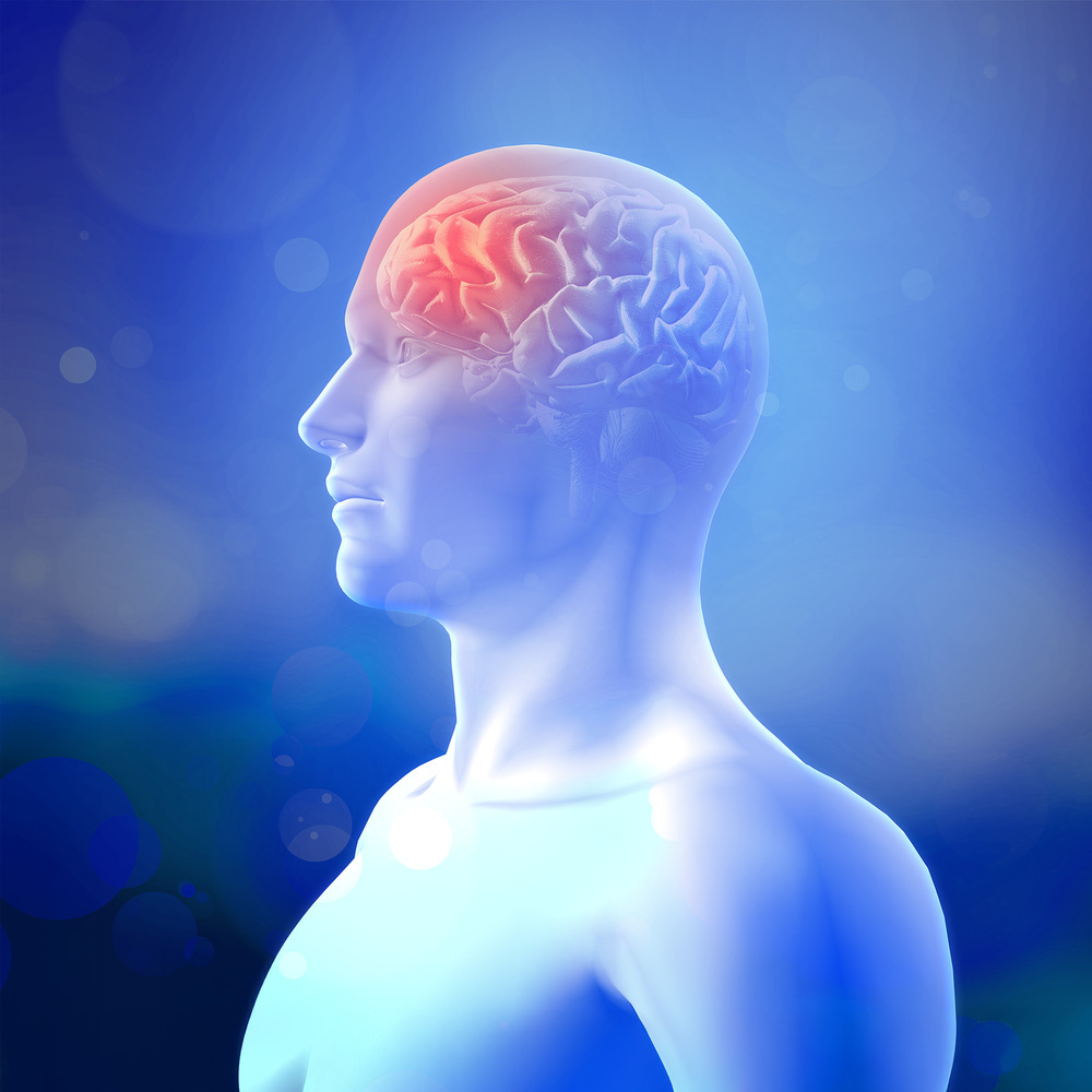 Rewire Emotional Circuits