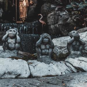 The Mind Of Joshua的專輯Omen