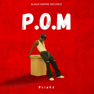 Blingz的專輯Pom