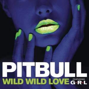 ดาวน์โหลดและฟังเพลง Wild Wild Love (feat. G.R.L.) พร้อมเนื้อเพลงจาก Pitbull