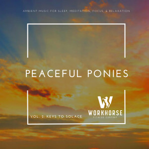 อัลบัม Peaceful Ponies, Vol. 2: Keys to Solace ศิลปิน Sonic Wellness
