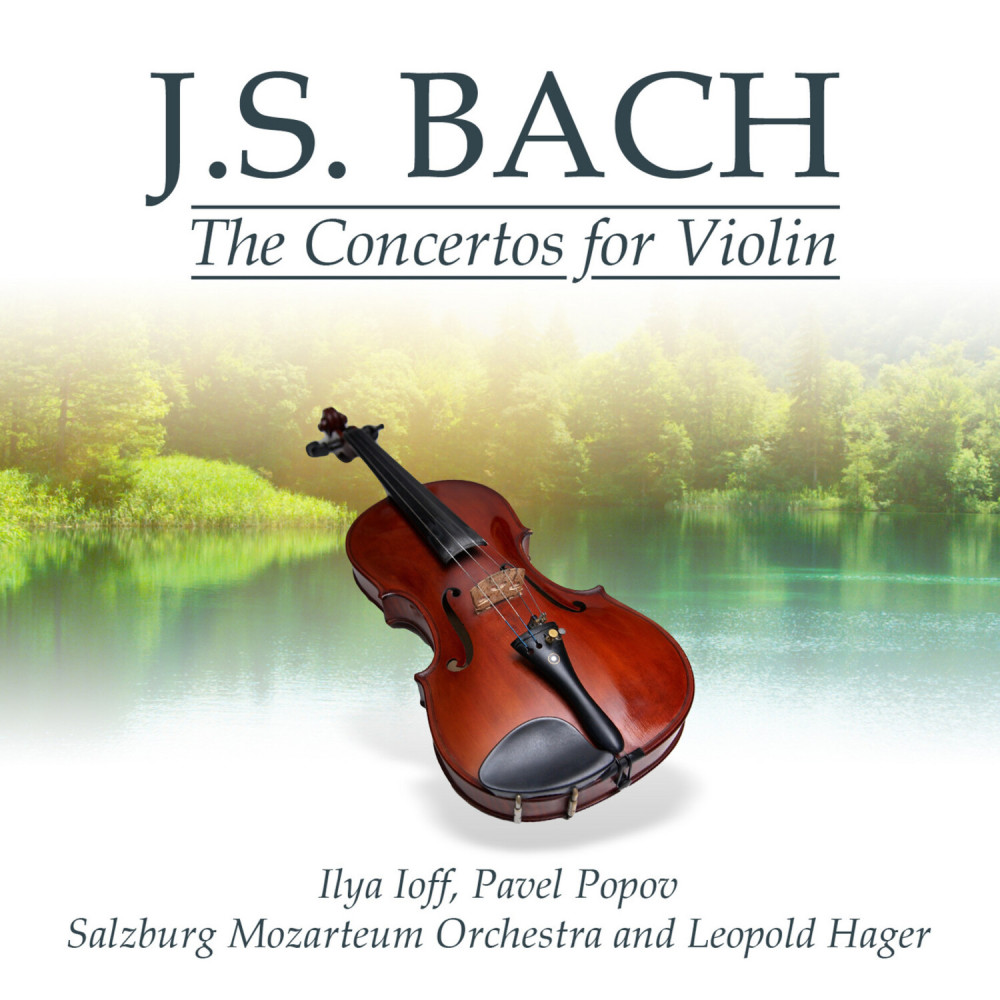 Concerto No. 1 in A Minor for Violin and Strings, BWV 1041: III. Finale: Allegro assai