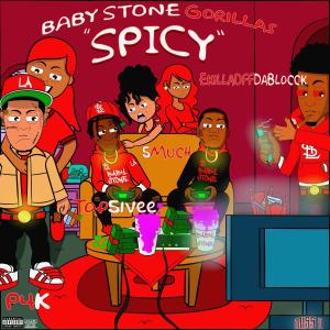 Album Spicy (Explicit) from Baby Stone Gorillas