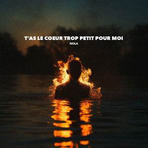 ดาวน์โหลดและฟังเพลง T'as le coeur trop petit pour moi พร้อมเนื้อเพลงจาก Nola