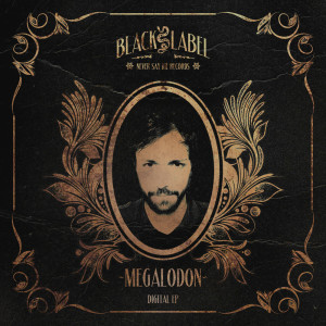ดาวน์โหลดและฟังเพลง Bass Booty พร้อมเนื้อเพลงจาก Megalodon