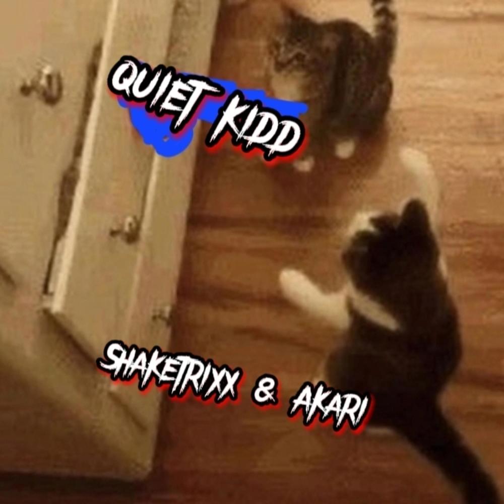 Quite kidd (feat. Shaketrixx) (Explicit)