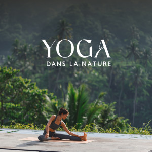 อัลบัม Yoga dans la nature (Détente et paix intérieure) ศิลปิน Espace Detente