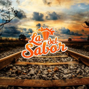 ดาวน์โหลดและฟังเพลง Dice Que Me Olvido พร้อมเนื้อเพลงจาก La Licuadora del Sabor
