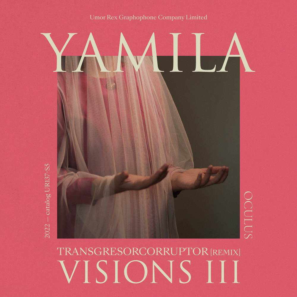 Visions III (Transgresorcorruptor remix)