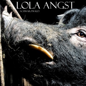 Album Schwarzwald oleh Lola Angst