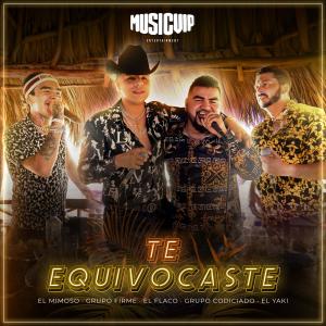 Album Te Equivocaste from 
