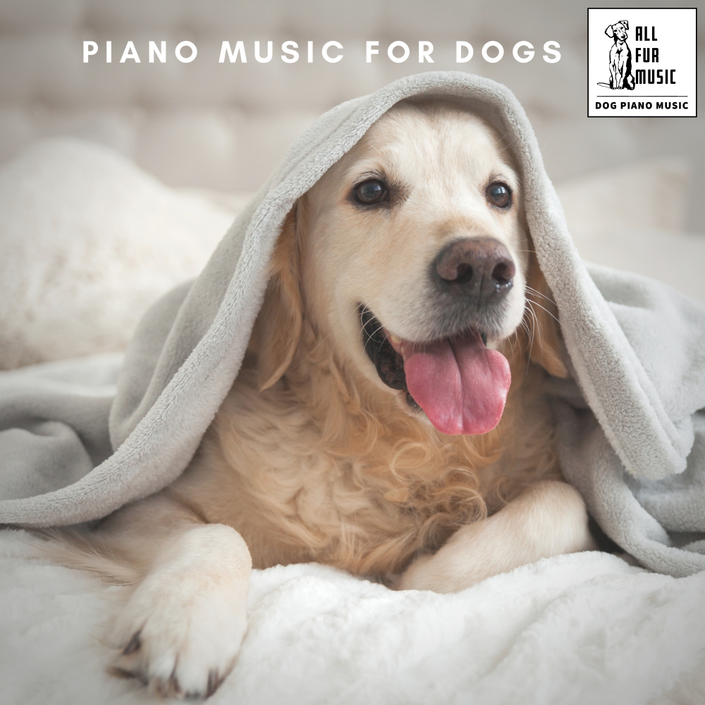 Pet's Piano Polyphonics