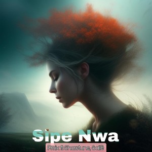 Album Sipe Nwa oleh Salle